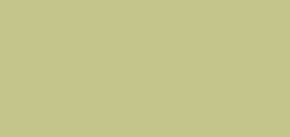 Olive 16X8 Ultracloth ( 192 X 96 Inch ) Backdrop