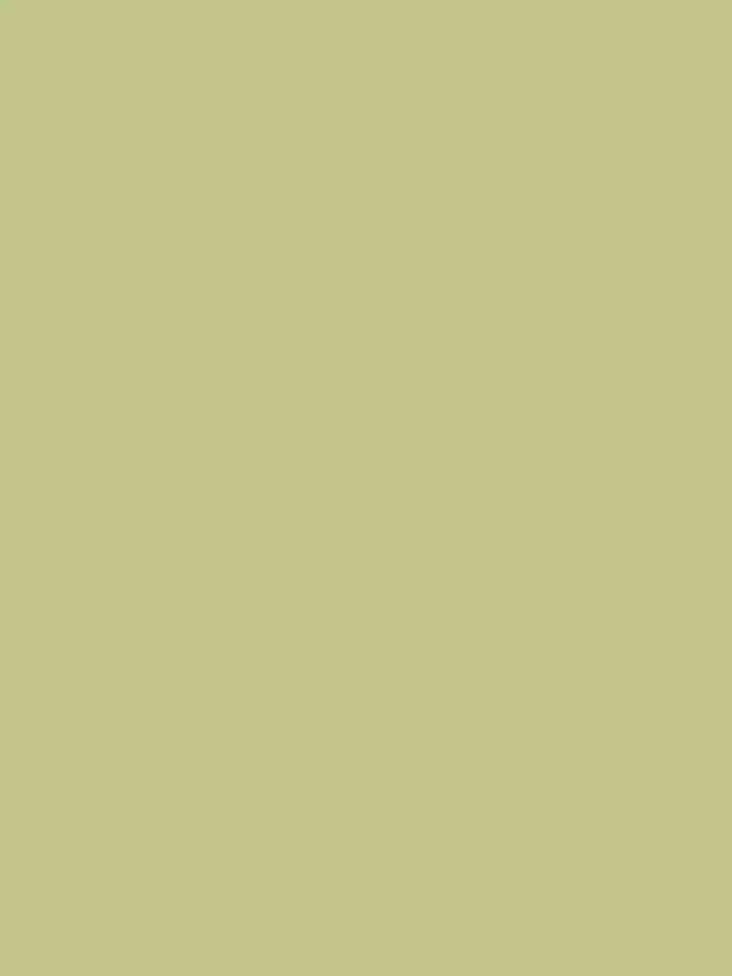 Olive 5X7 Ultracloth ( 60 X 84 Inch ) Backdrop