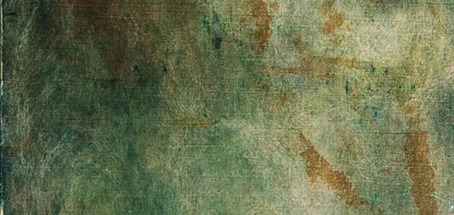 Oliver 16X8 Ultracloth ( 192 X 96 Inch ) Backdrop