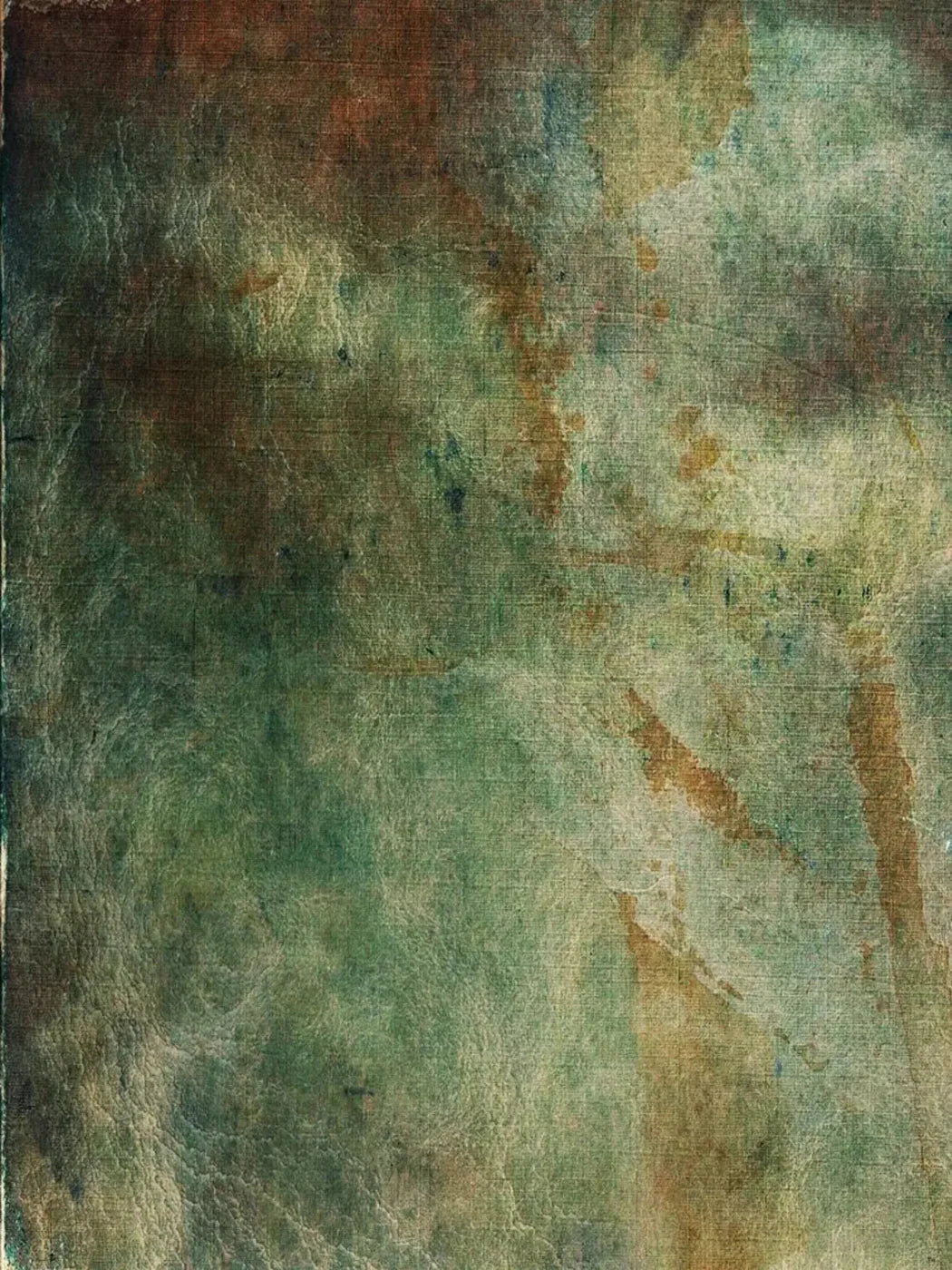 Oliver 8X10 Fleece ( 96 X 120 Inch ) Backdrop