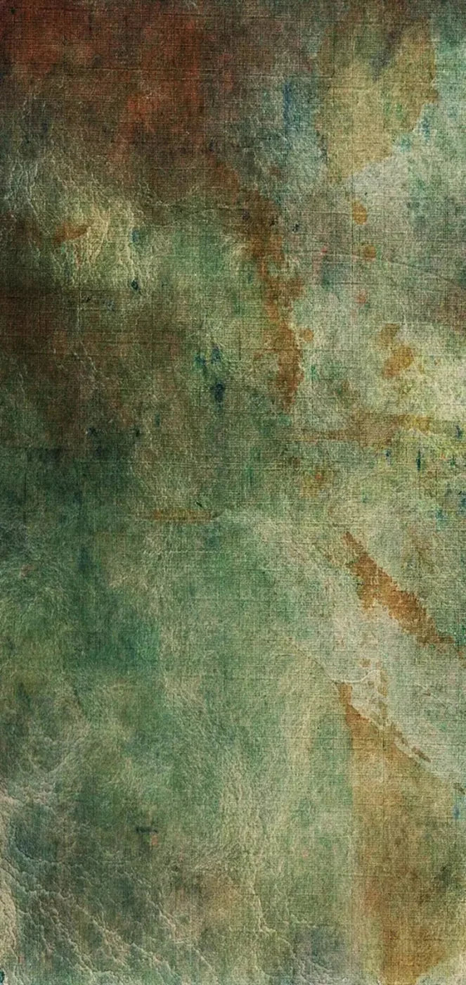 Oliver 8X16 Ultracloth ( 96 X 192 Inch ) Backdrop
