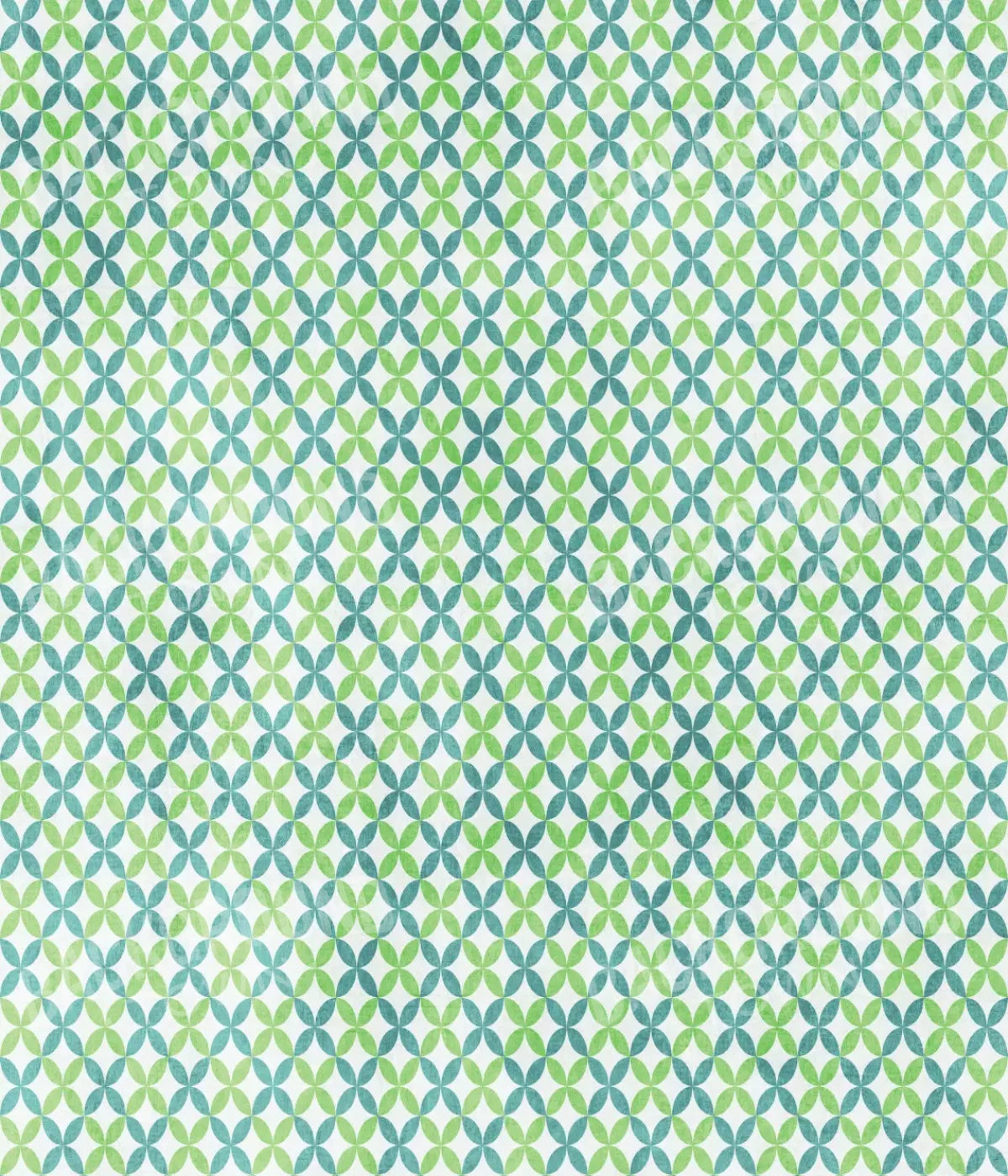 Ollie 10X12 Ultracloth ( 120 X 144 Inch ) Backdrop