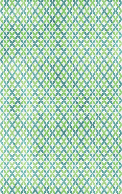 Ollie 10X16 Ultracloth ( 120 X 192 Inch ) Backdrop