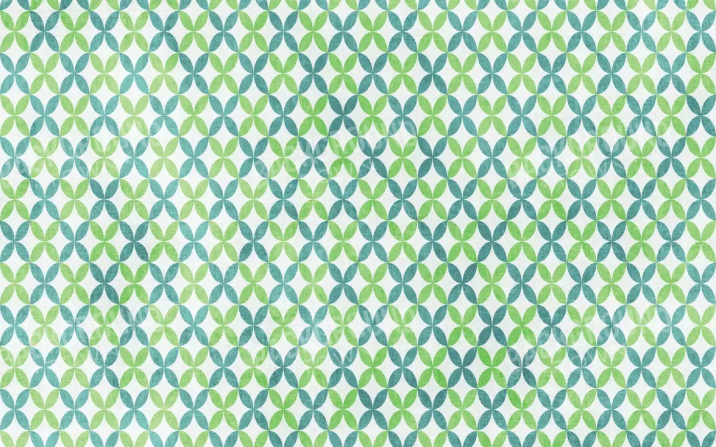 Ollie 14X9 Ultracloth ( 168 X 108 Inch ) Backdrop