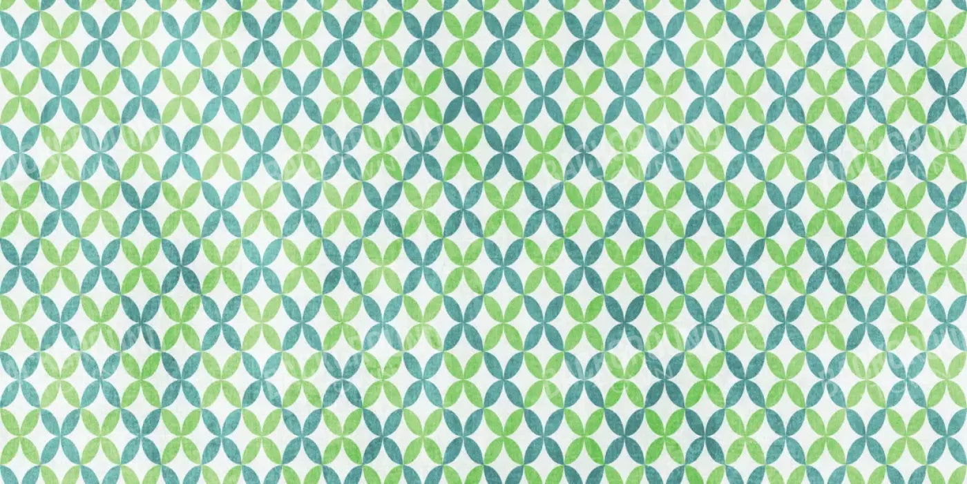 Ollie 20X10 Ultracloth ( 240 X 120 Inch ) Backdrop