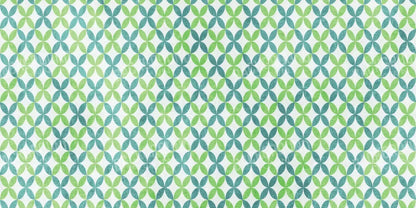 Ollie 20X10 Ultracloth ( 240 X 120 Inch ) Backdrop