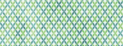 Ollie 20X8 Ultracloth ( 240 X 96 Inch ) Backdrop