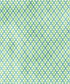 Green Pattern Backdrop for Photography