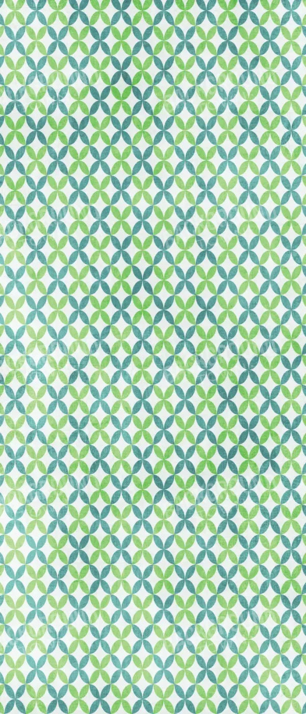 Ollie 5X12 Ultracloth For Westcott X-Drop ( 60 X 144 Inch ) Backdrop