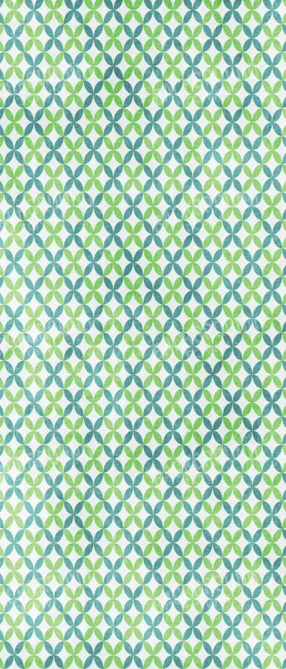 Ollie 5X12 Ultracloth For Westcott X-Drop ( 60 X 144 Inch ) Backdrop