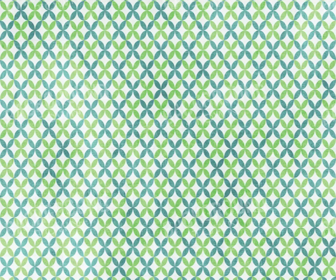 Ollie 5X42 Fleece ( 60 X 50 Inch ) Backdrop