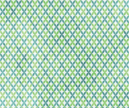 Ollie 5X42 Fleece ( 60 X 50 Inch ) Backdrop