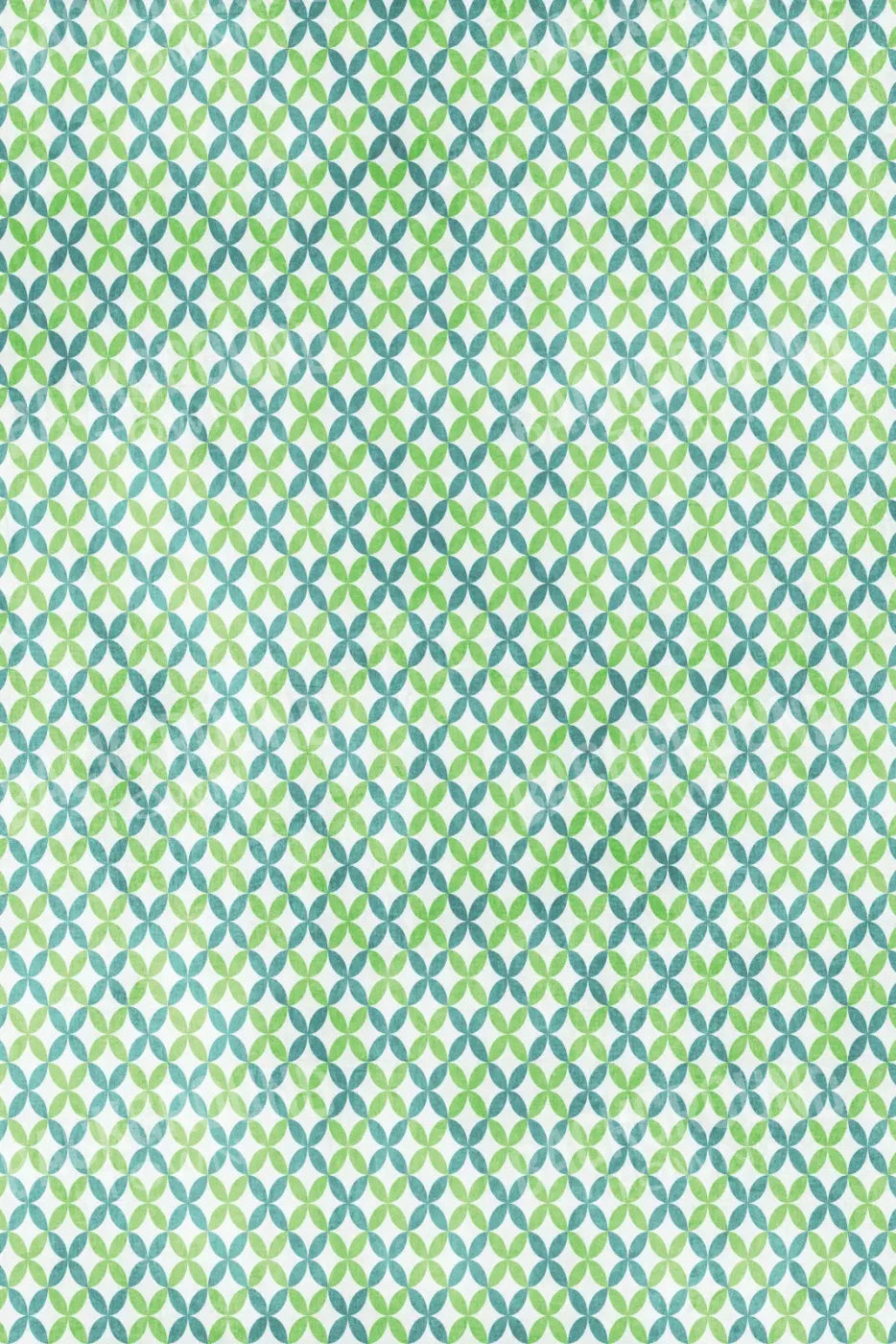 Ollie 5X8 Ultracloth ( 60 X 96 Inch ) Backdrop