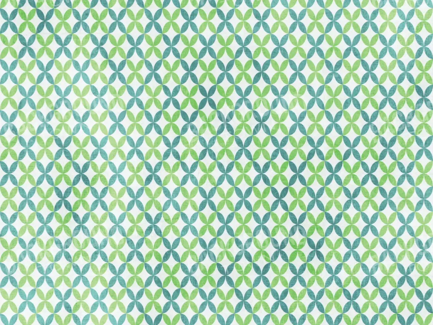 Ollie 68X5 Fleece ( 80 X 60 Inch ) Backdrop