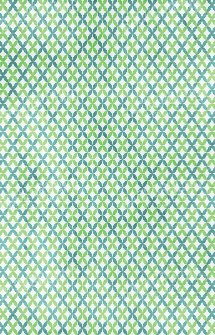 Ollie 8X12 Ultracloth ( 96 X 144 Inch ) Backdrop