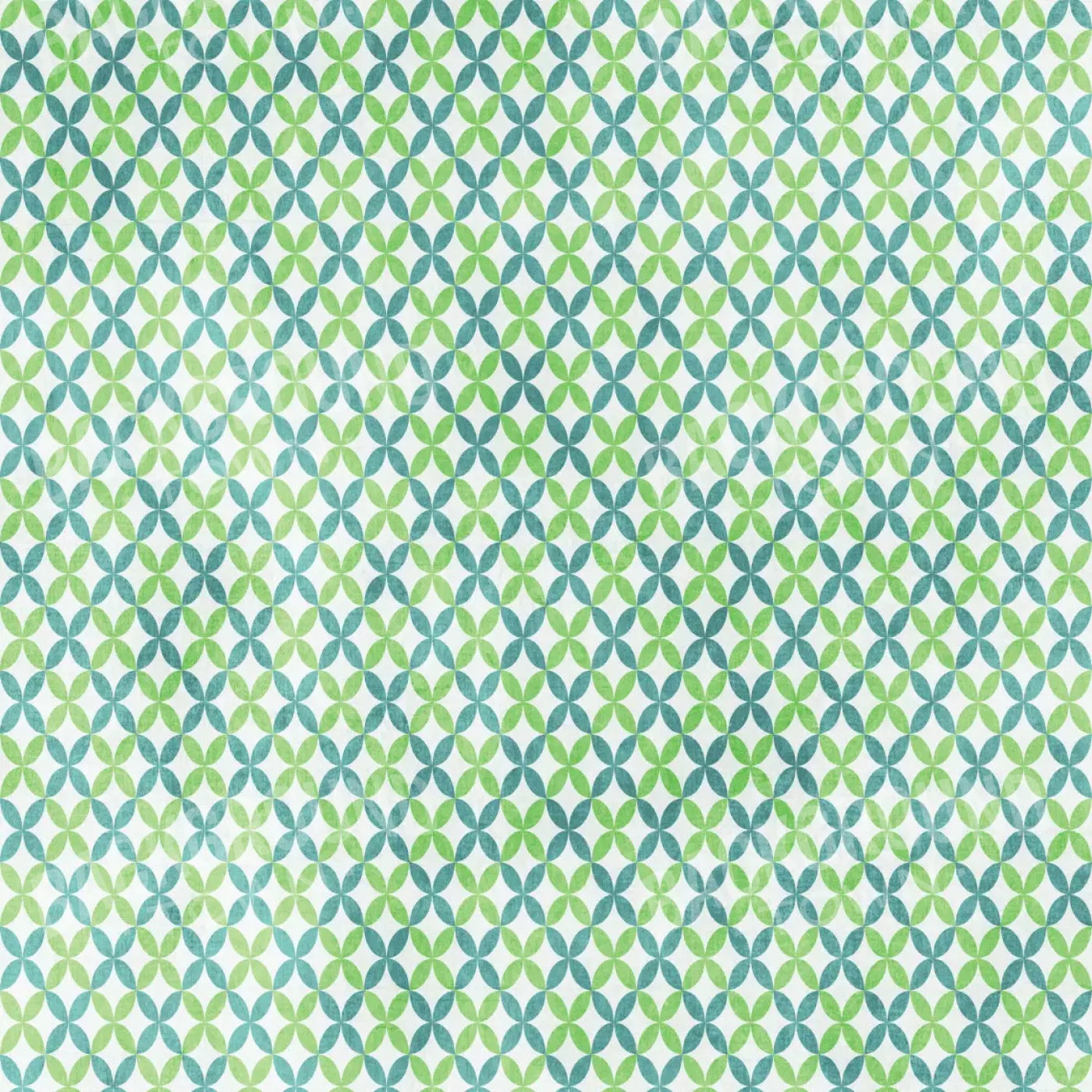 Ollie 8X8 Fleece ( 96 X Inch ) Backdrop