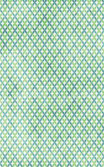 Ollie 9X14 Ultracloth ( 108 X 168 Inch ) Backdrop