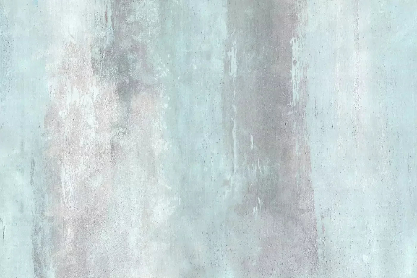 Olly Backdrop