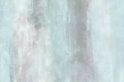 Olly Backdrop
