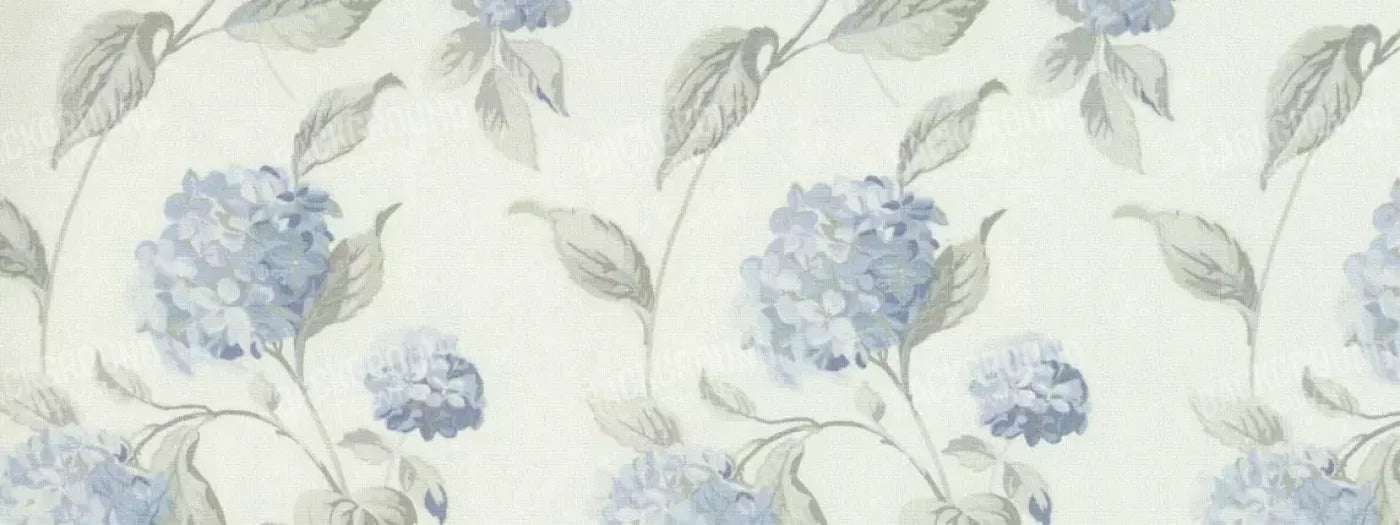 Onalee 20X8 Ultracloth ( 240 X 96 Inch ) Backdrop