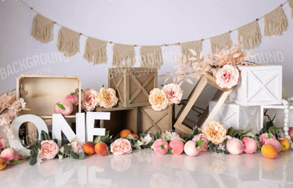 One Sweet Peach 14’X9’ Ultracloth (168 X 108 Inch) Backdrop