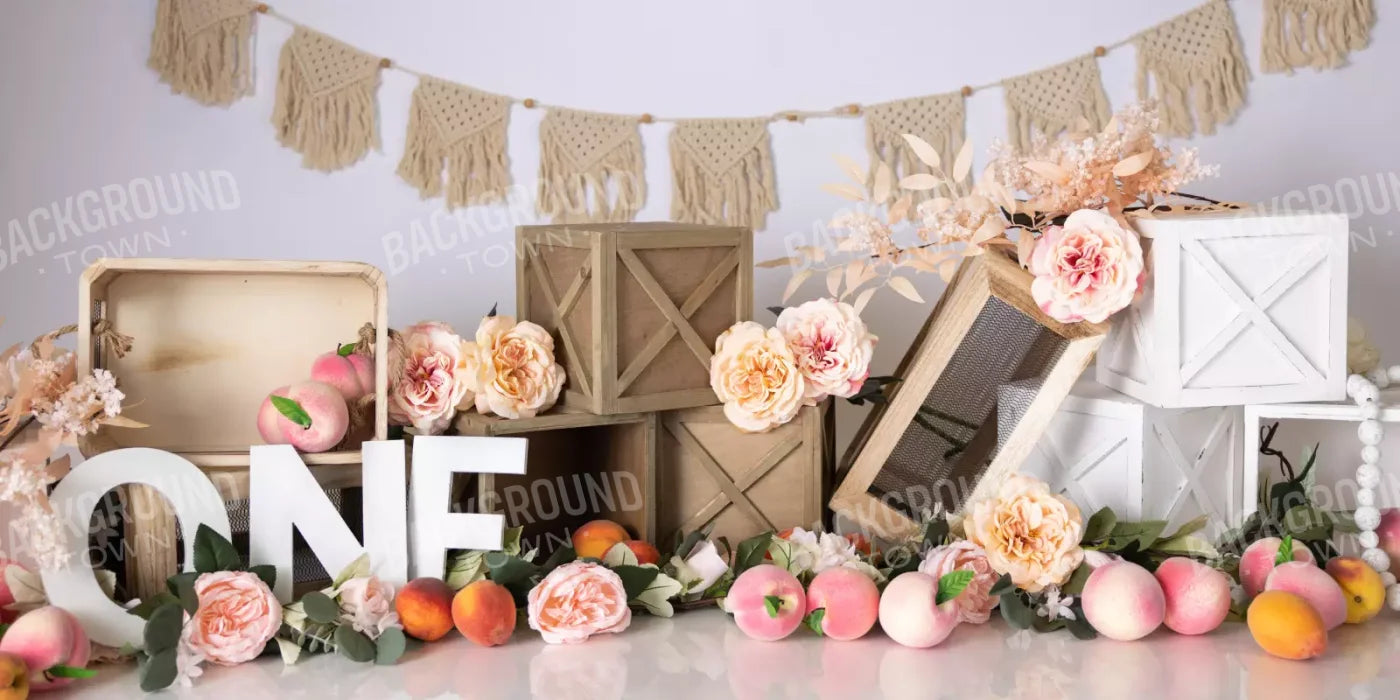 One Sweet Peach 16’X8’ Ultracloth (192 X 96 Inch) Backdrop