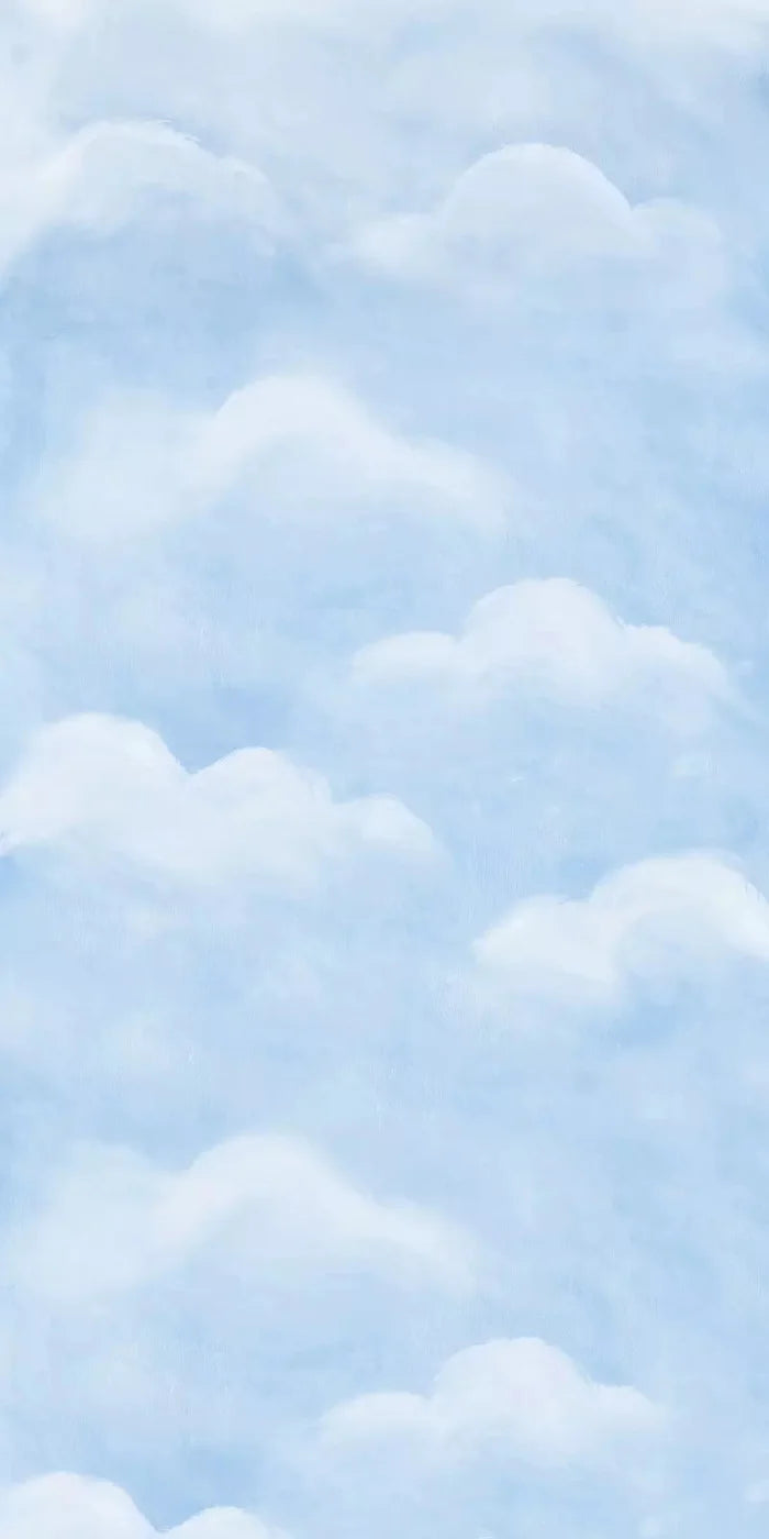 Cloudy Day 10X20 Ultracloth ( 120 X 240 Inch ) Backdrop