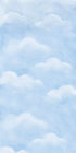 Cloudy Day 10X20 Ultracloth ( 120 X 240 Inch ) Backdrop