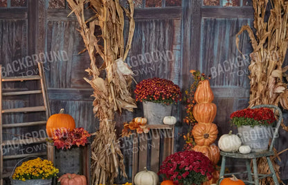 Pumpkin Patch 12X8 Ultracloth ( 144 X 96 Inch ) Backdrop