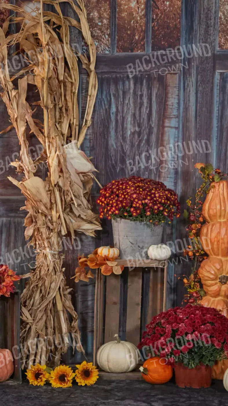 Pumpkin Patch 8X14 Ultracloth ( 96 X 168 Inch ) Backdrop