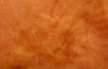 Orange Cement 12X8 Ultracloth ( 144 X 96 Inch ) Backdrop