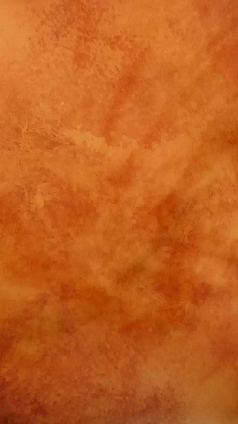 Orange Cement 8X14 Ultracloth ( 96 X 168 Inch ) Backdrop