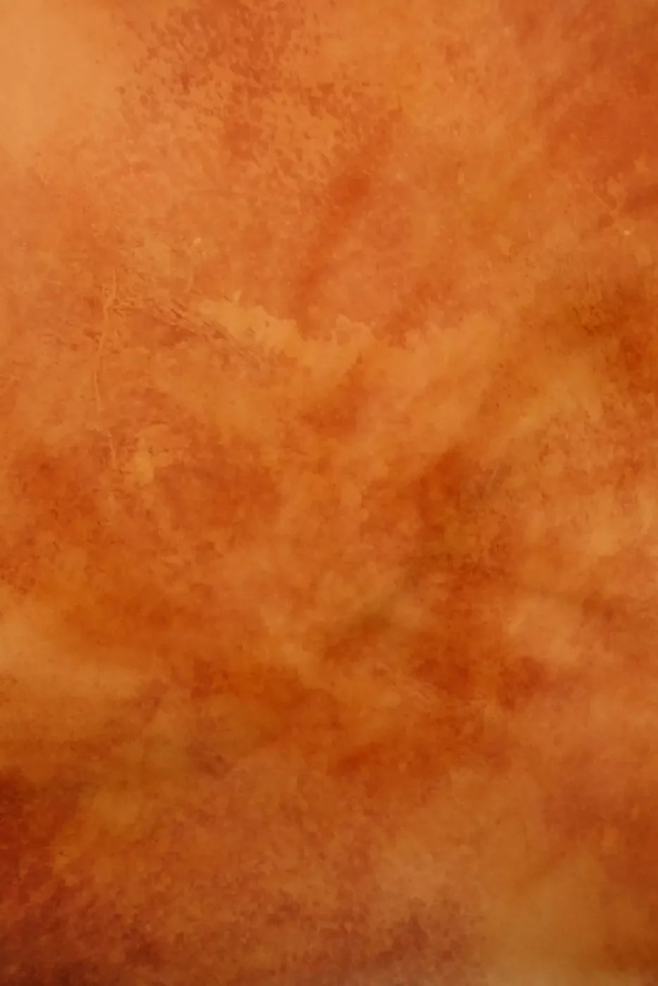 Orange Cement Backdrop