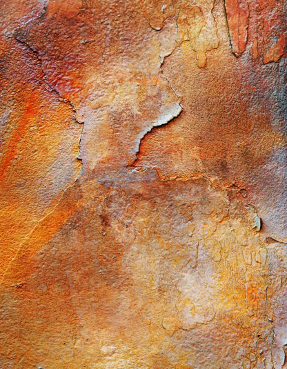 Orange Stone 6X8 Fleece ( 72 X 96 Inch ) Backdrop