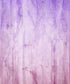 Purple Painted Backdrop for Photography