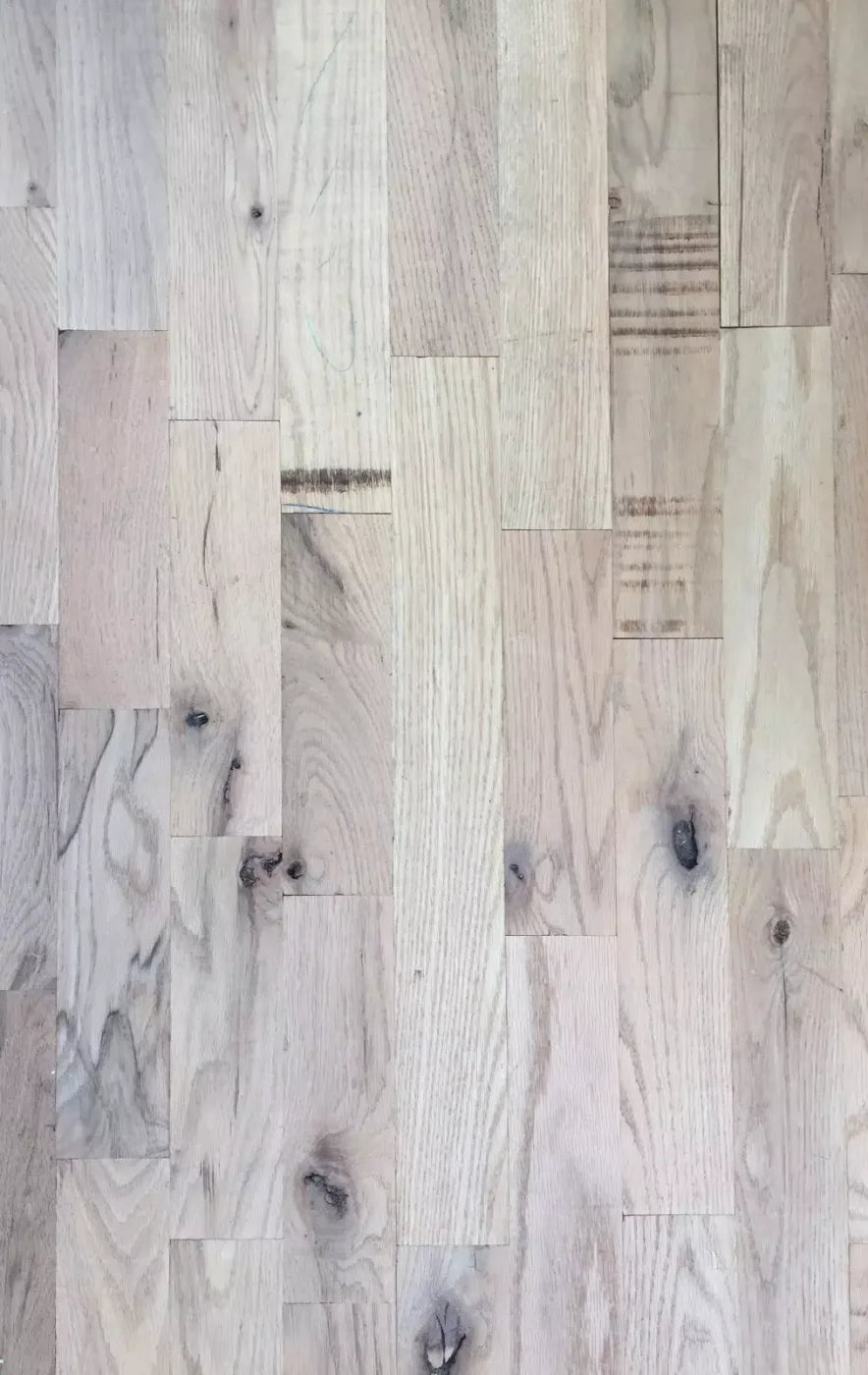 Oregon 10X16 Ultracloth ( 120 X 192 Inch ) Backdrop