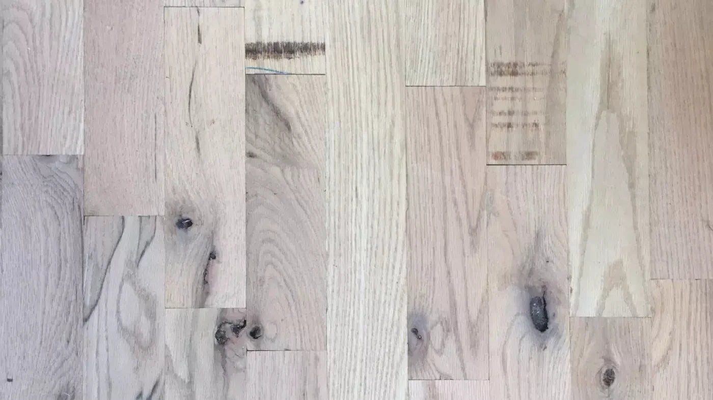 Oregon 14X8 Ultracloth ( 168 X 96 Inch ) Backdrop