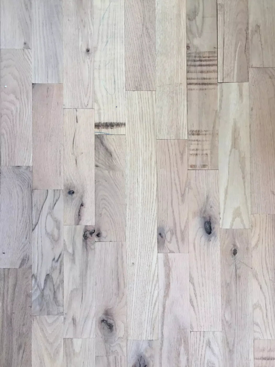 Oregon 5X7 Ultracloth ( 60 X 84 Inch ) Backdrop