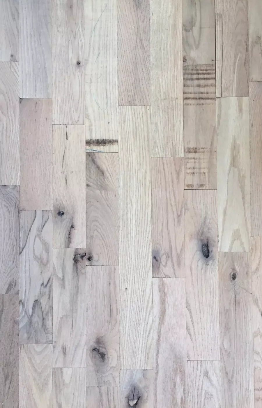 Oregon 8X12 Ultracloth ( 96 X 144 Inch ) Backdrop