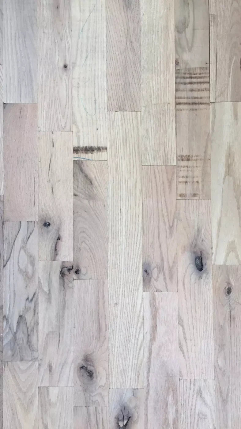 Oregon 8X14 Ultracloth ( 96 X 168 Inch ) Backdrop