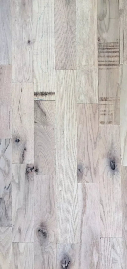 Oregon 8X16 Ultracloth ( 96 X 192 Inch ) Backdrop