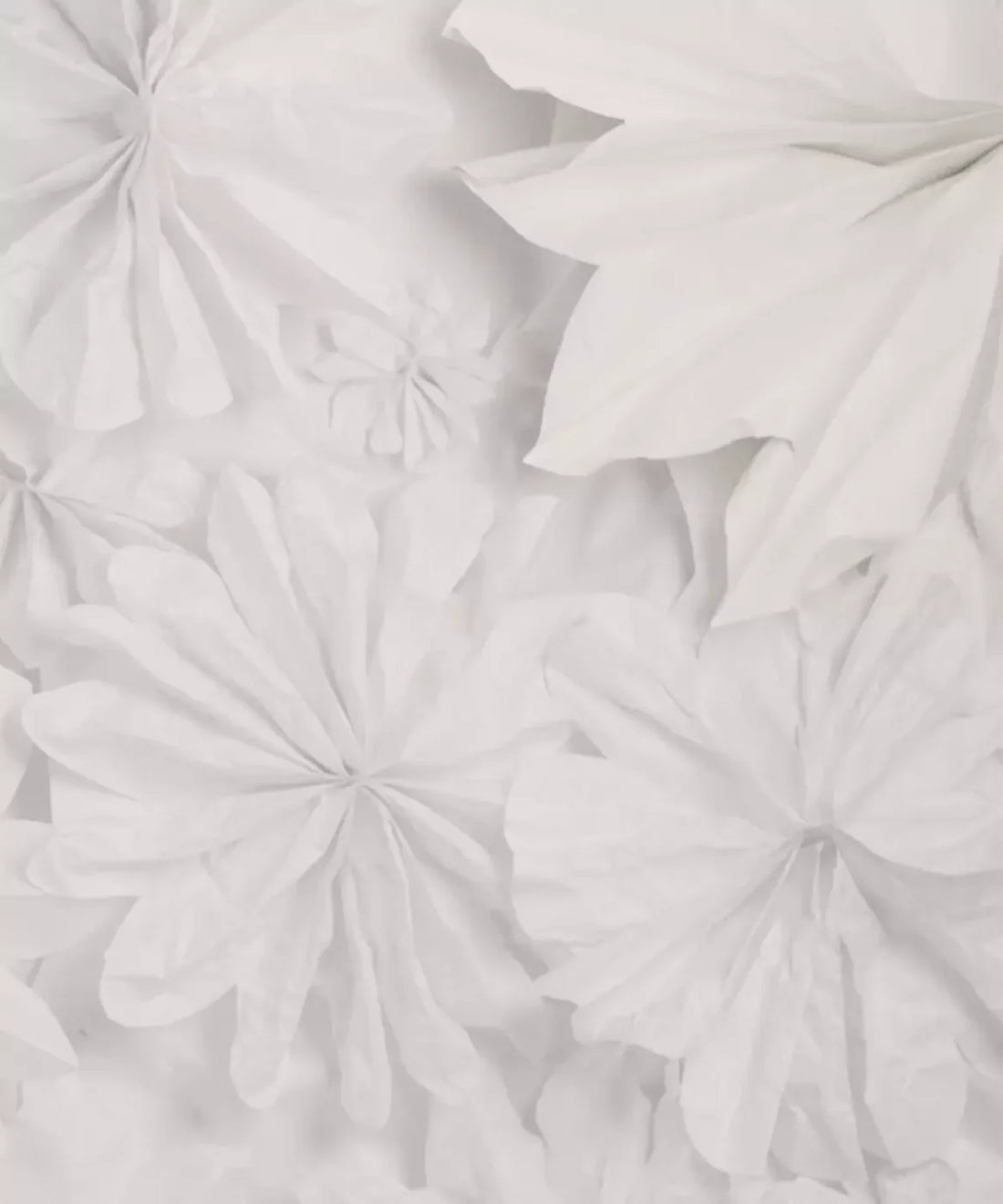 Gray Floral Backdrop for Photography