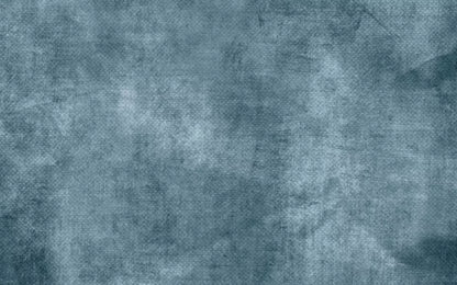 Orlando 14X9 Ultracloth ( 168 X 108 Inch ) Backdrop