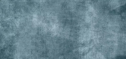 Orlando 16X8 Ultracloth ( 192 X 96 Inch ) Backdrop