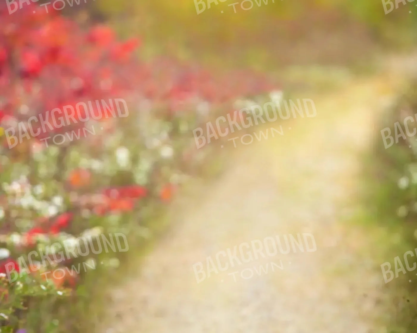 Out For A Walk 10’x8’ Fleece (120 x 96 inch) Backdrop