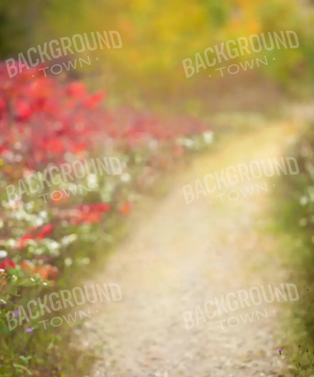 Red Green  Backdrop for Photography