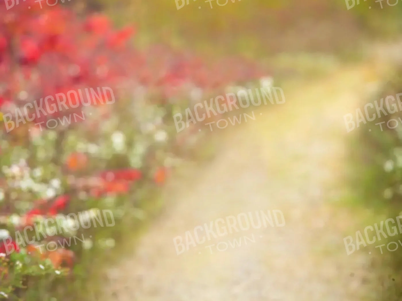 Out For A Walk 6’8x5’ Fleece (80 x 60 inch) Backdrop