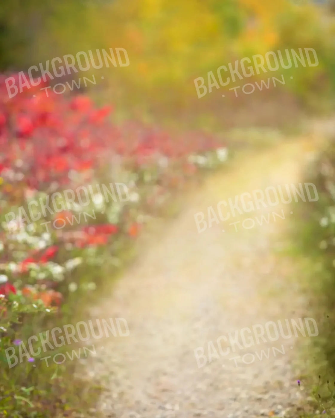 Out For A Walk 8’x10’ Fleece (96 x 120 inch) Backdrop