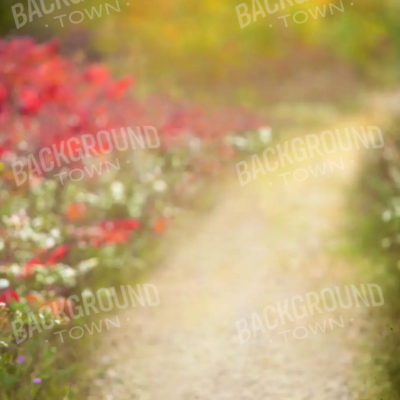 Out For A Walk 8’x8’ Fleece (96 x 96 inch) Backdrop
