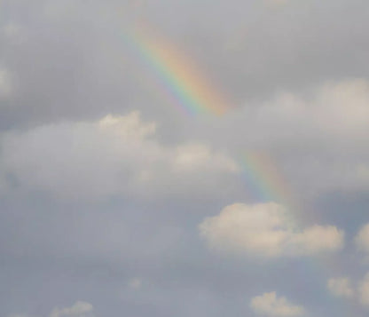 Over The Rainbow 12X10 Ultracloth ( 144 X 120 Inch ) Backdrop